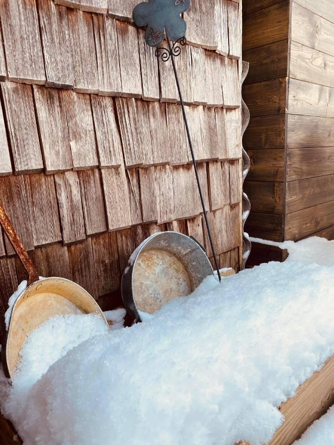 Forest Chalet, 15 Min To Salzburg Olt Town, And Most Beautiful Lakes, Secluded Location, 1,000 Sqm Garden, Mountainview, Panorama Sauna, Bath Whirlpool, Bbq&Bikes&Sunbeds For Free, Up To 10 P Golling an der Salzach Exterior foto